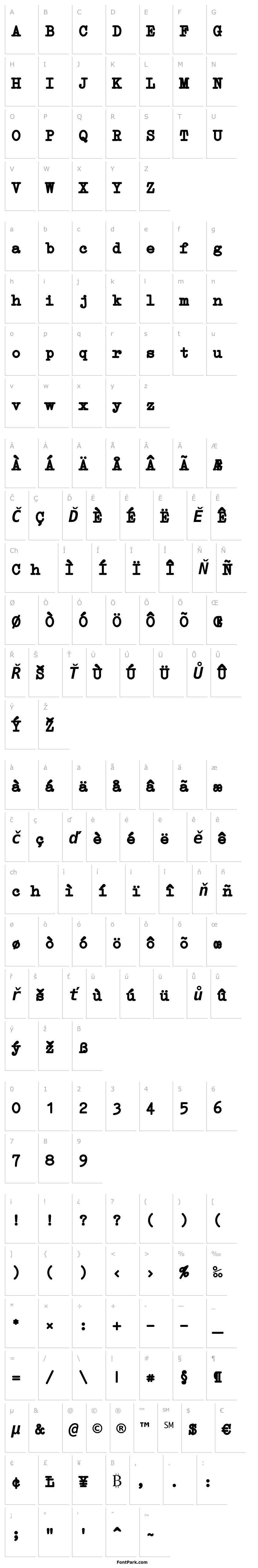 Přehled Erica Type Bold Italic