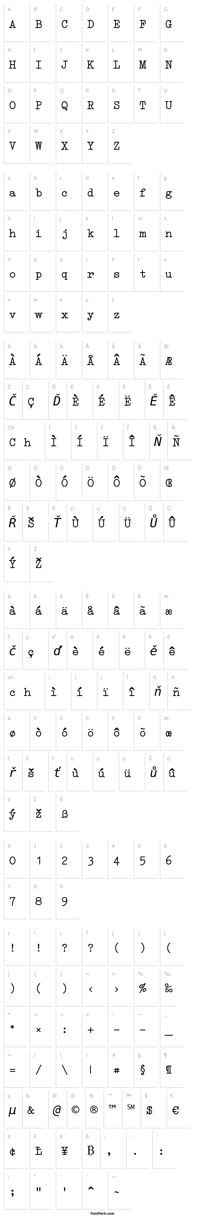 Přehled Erica Type Italic
