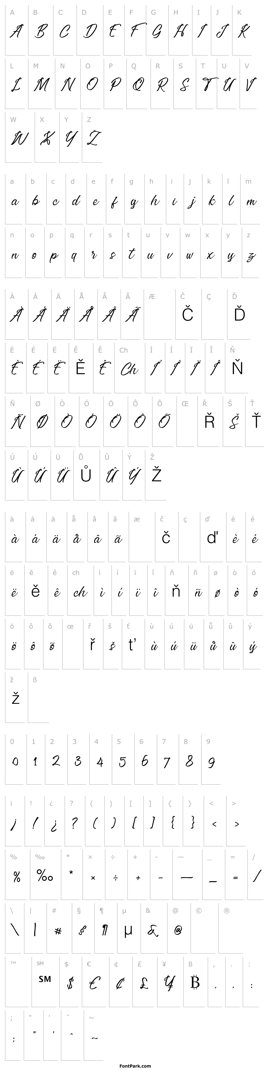 Overview Erisblue Script Light