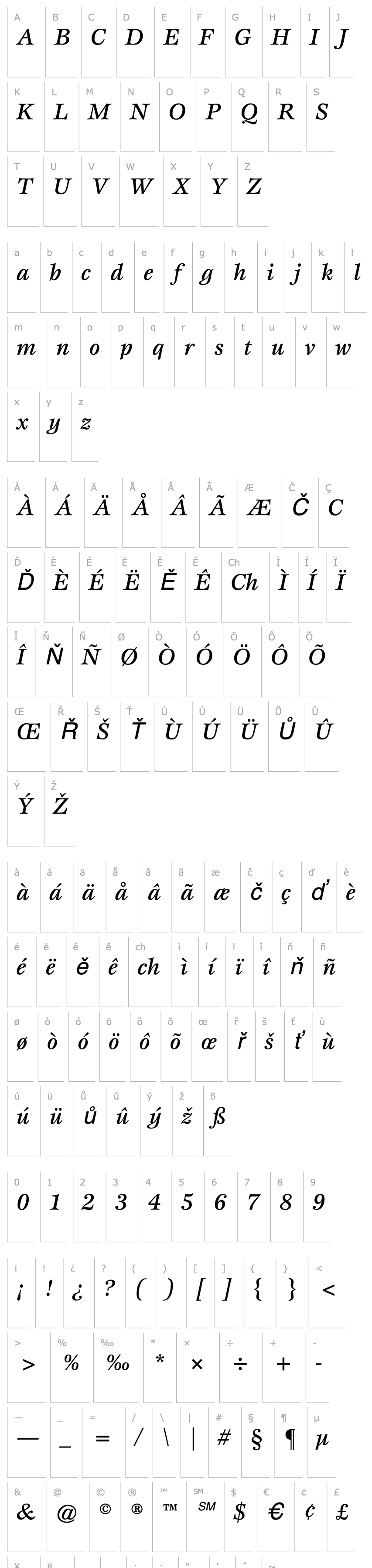 Overview Esprit MediumItalic