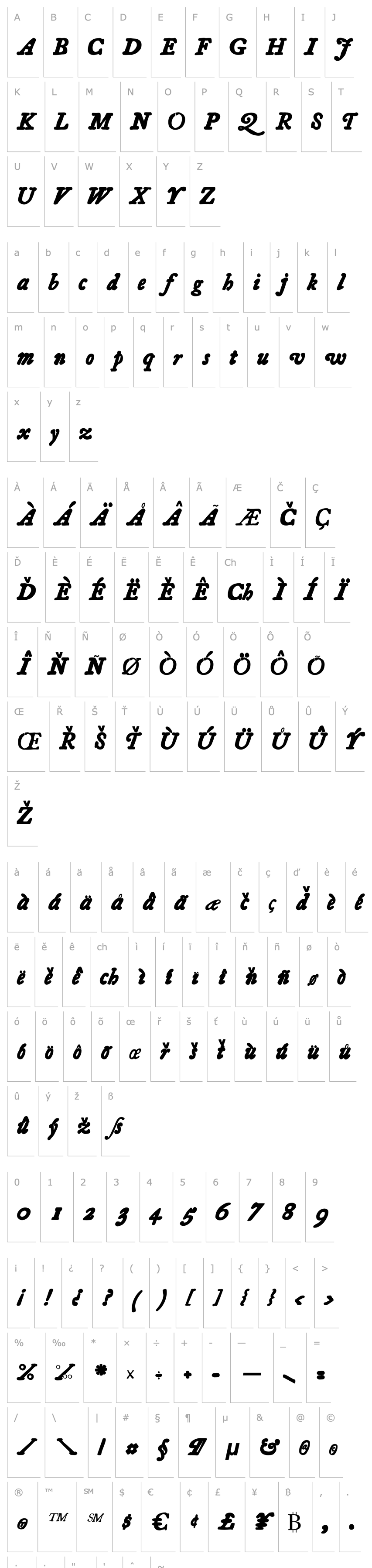 Přehled Essays 1743 Bold Italic