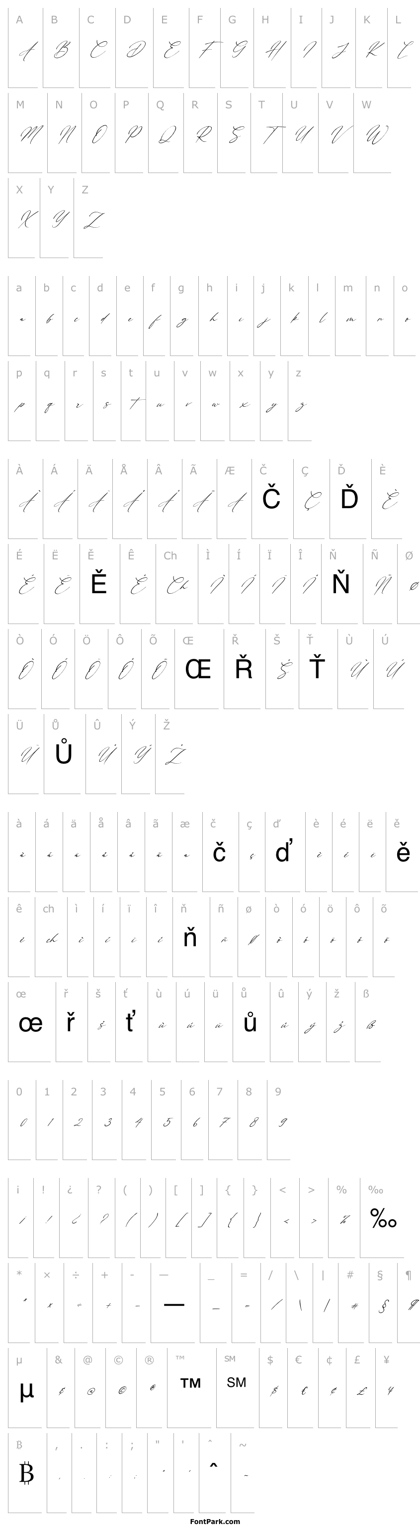 Přehled Eternal Amsterdam Italic