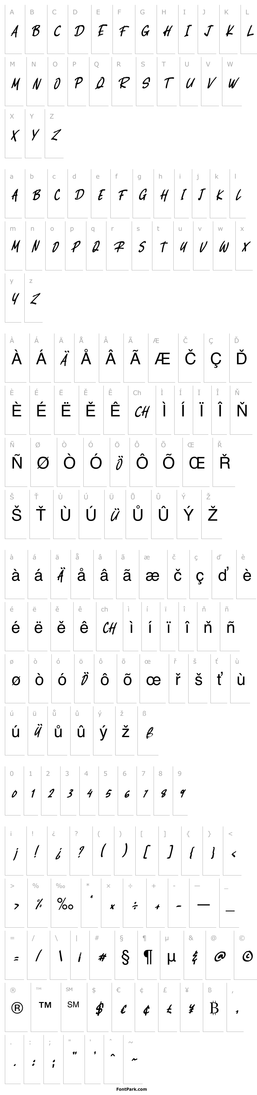 Přehled Ethernal Regular