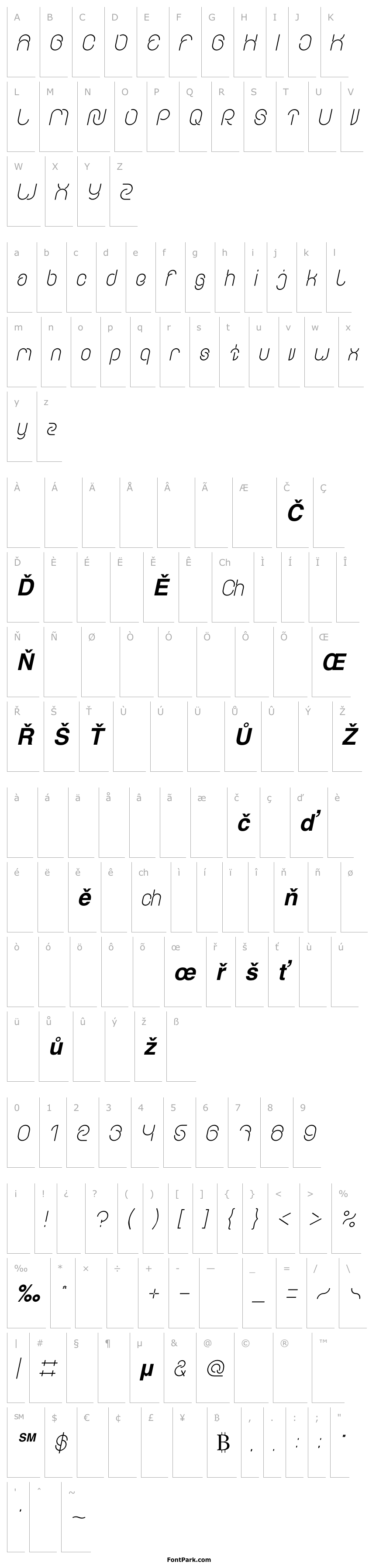 Overview EVERYTHING Bold Italic