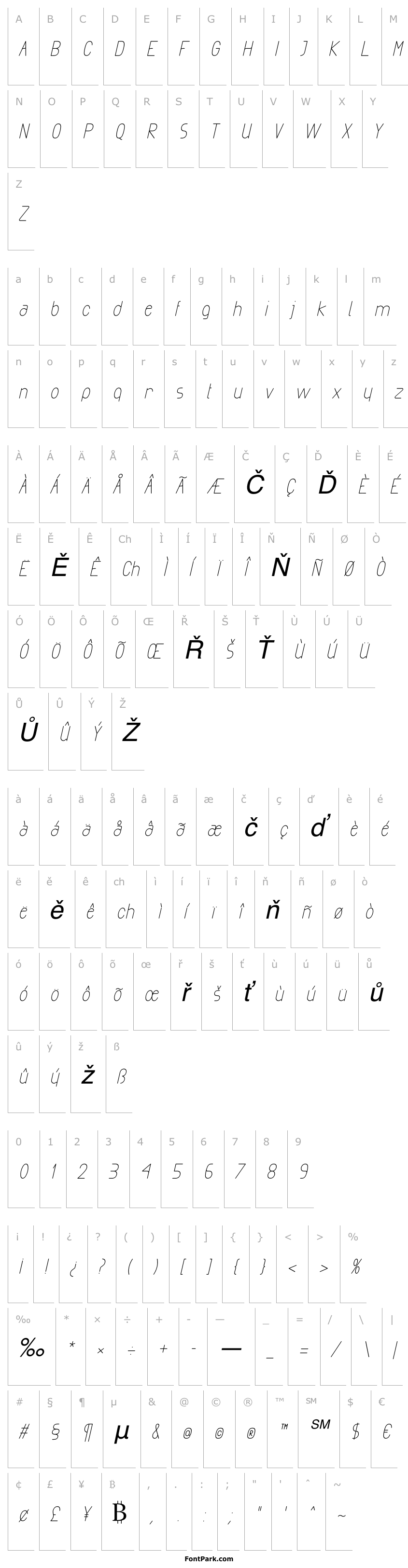 Overview Exacta Medium Italic