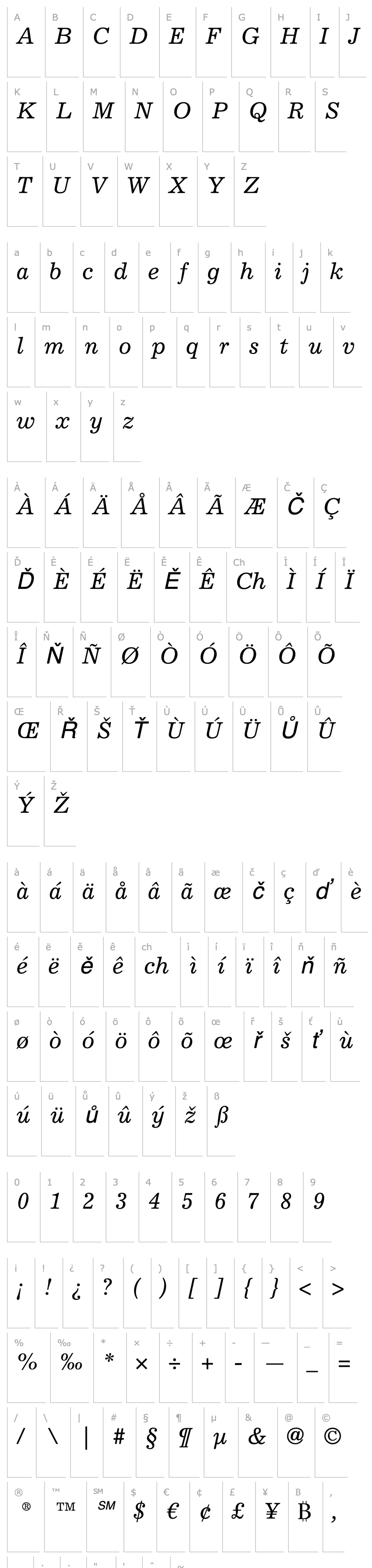 Overview Excelsior LT Italic