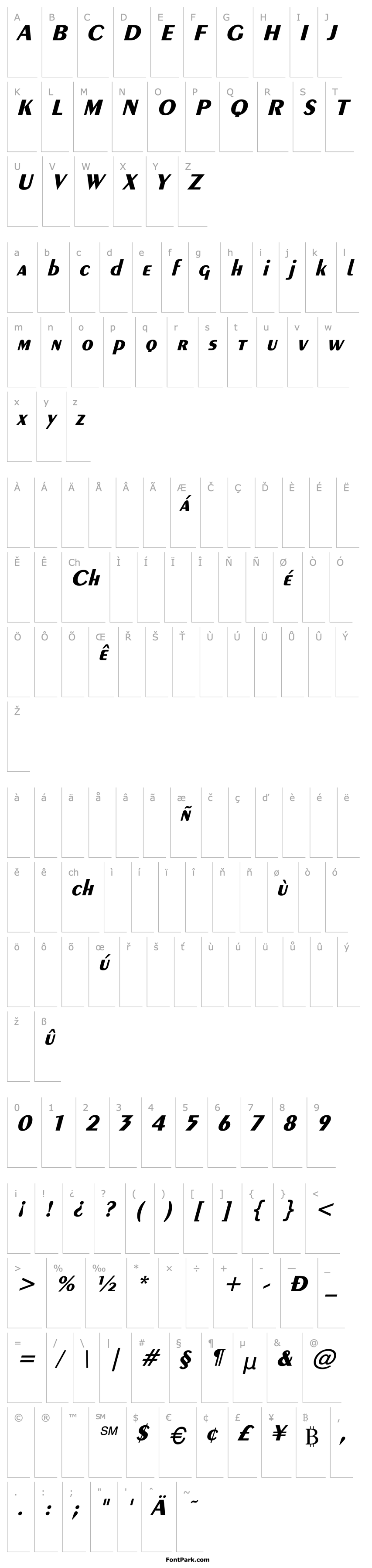 Overview Exotic-Bold Italic