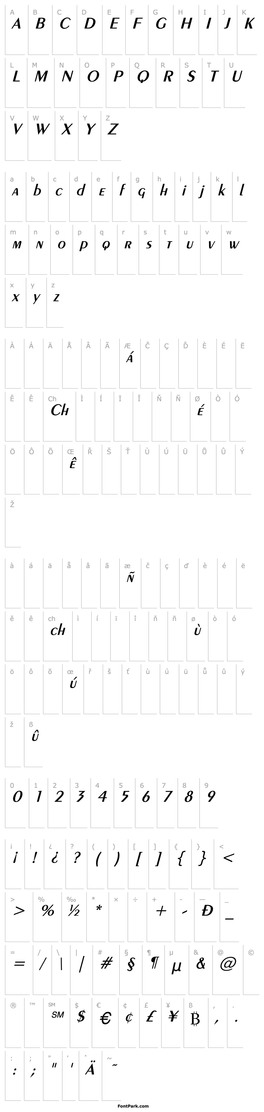 Overview Exotic-Demi Italic