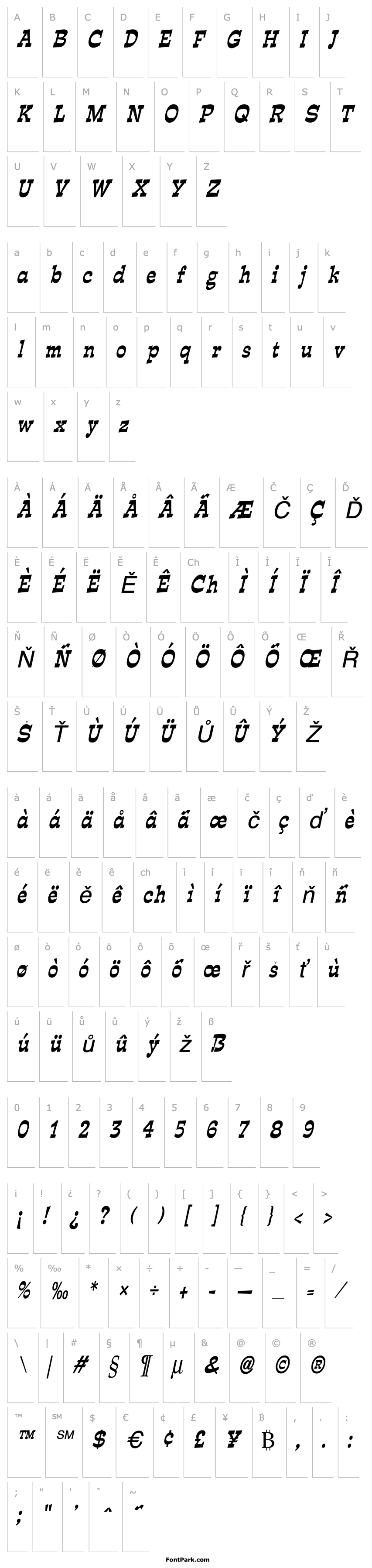 Overview Expose Condensed Italic