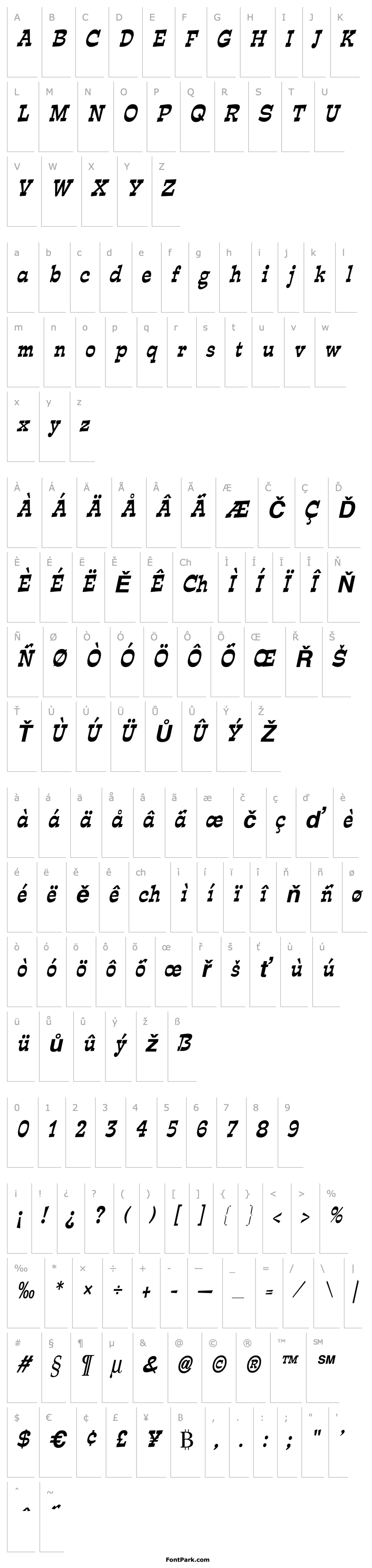 Overview Expose Thin Condensed BoldItalic