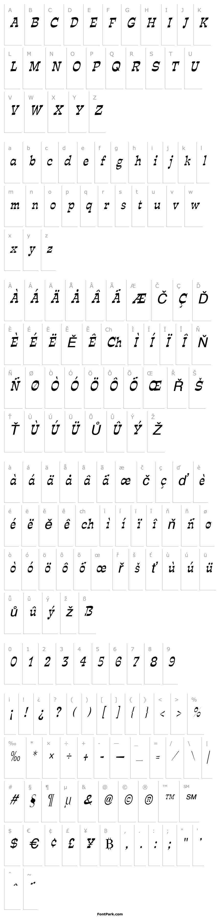 Overview Expose Thin Condensed Italic