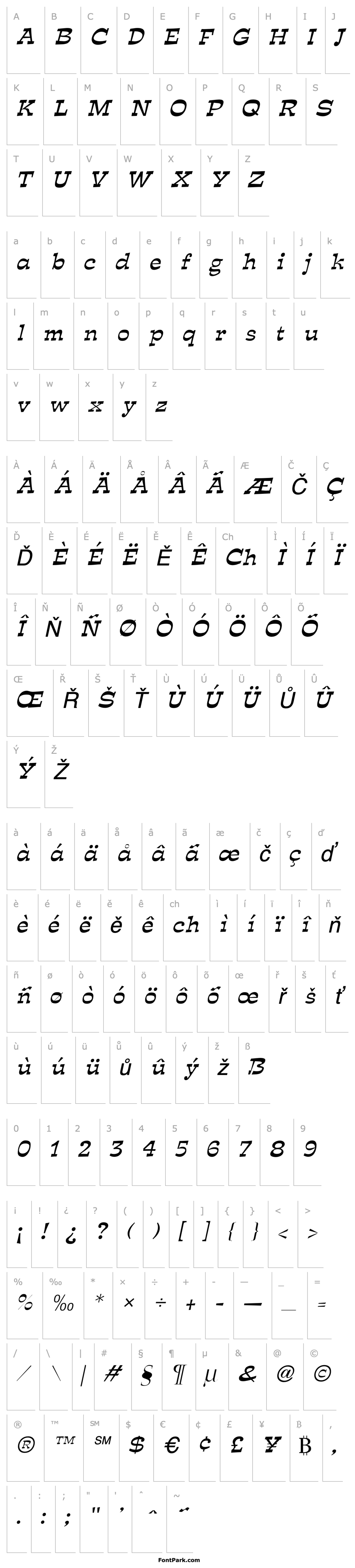 Overview Expose Thin Italic