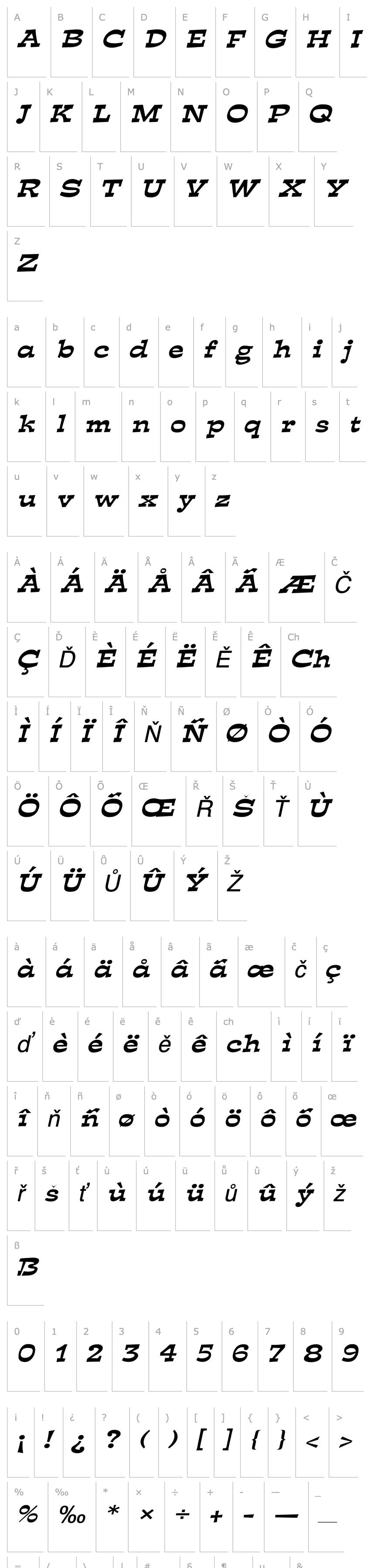 Overview Expose Wide Italic