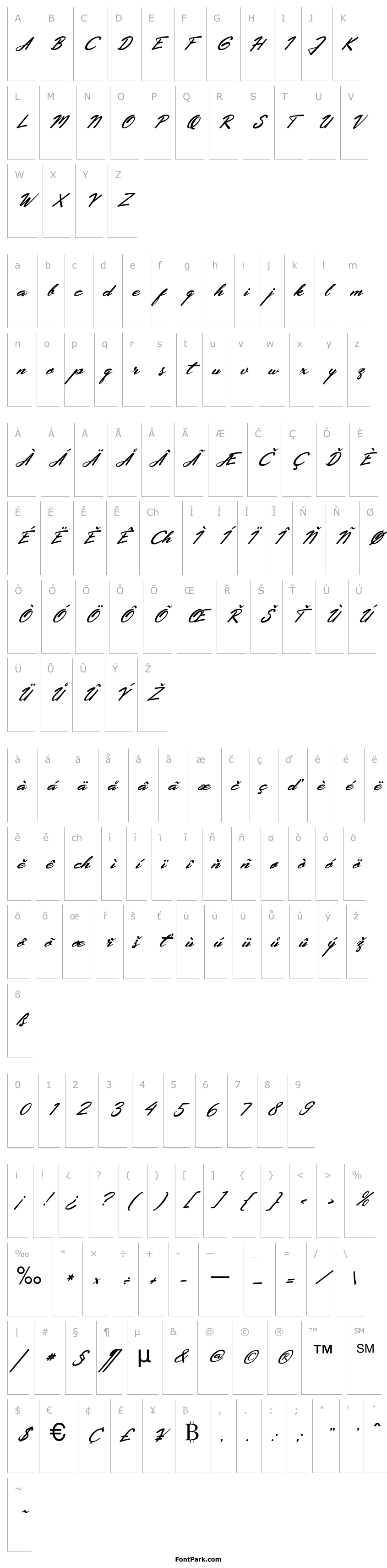 Přehled Extendo Italic