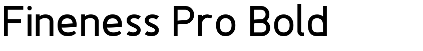 Preview Fineness Pro Bold