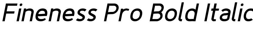 Preview Fineness Pro Bold Italic
