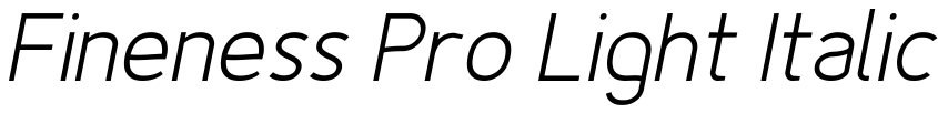 Preview Fineness Pro Light Italic