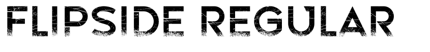 Preview Flipside Regular
