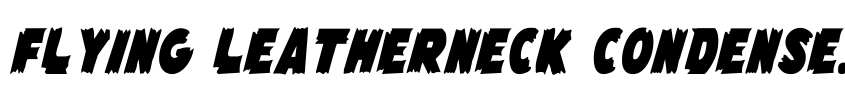 Preview Flying Leatherneck Condensed