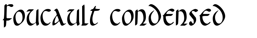 Preview Foucault Condensed