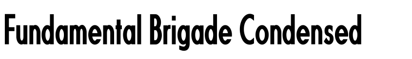 Preview Fundamental  Brigade Condensed