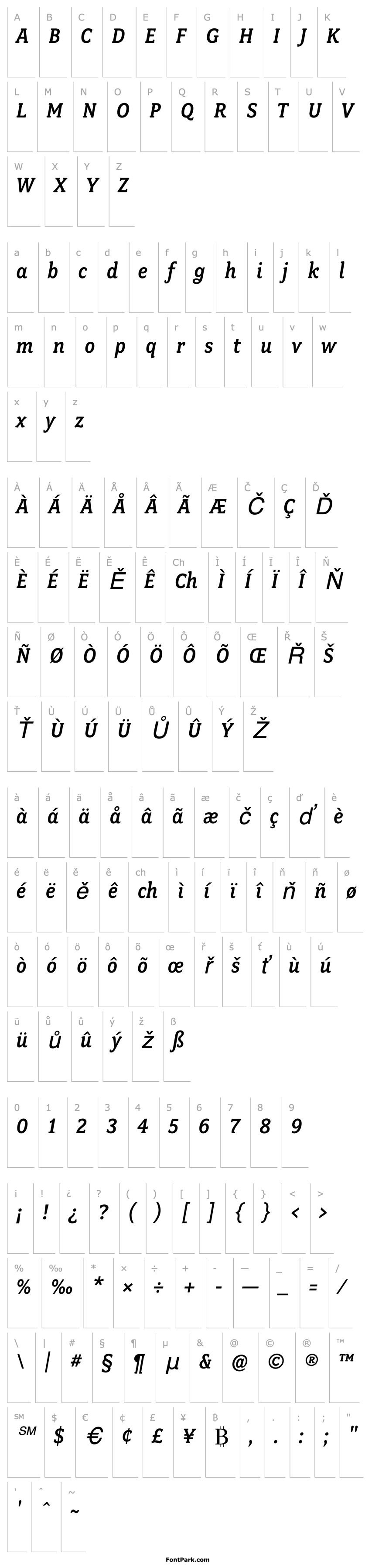 Přehled FairplexNarrowMediumItalic