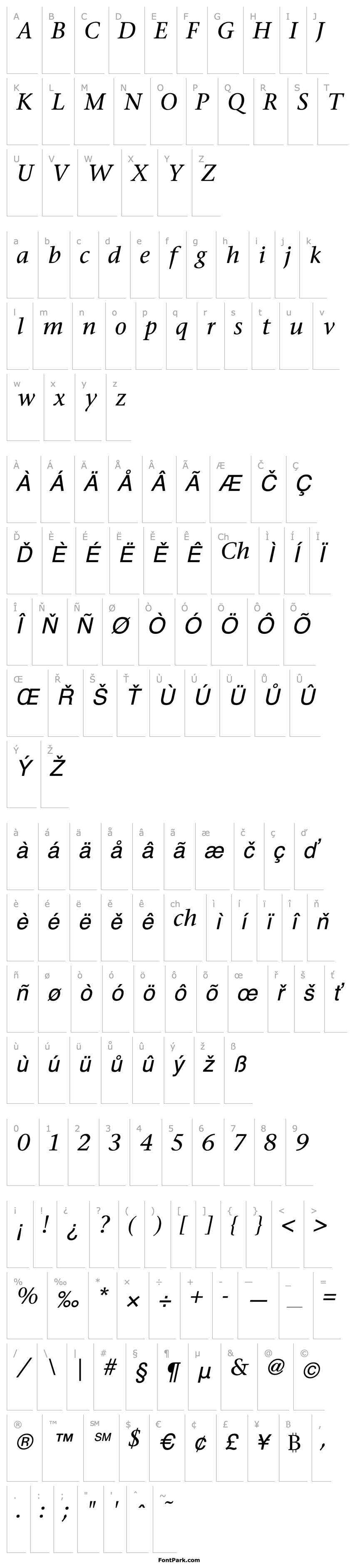 Overview Fasse Italic