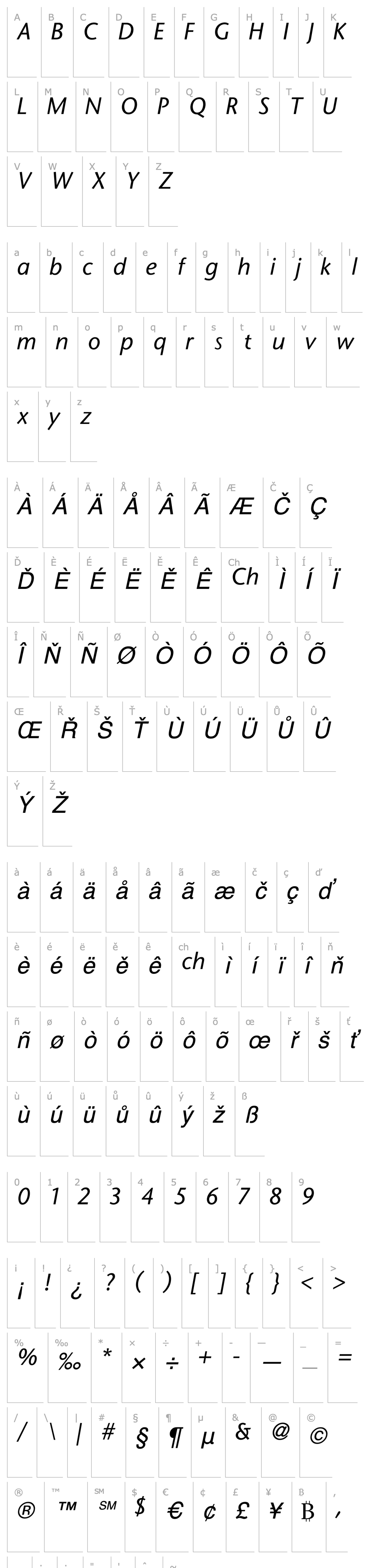 Overview FasseSans Italic