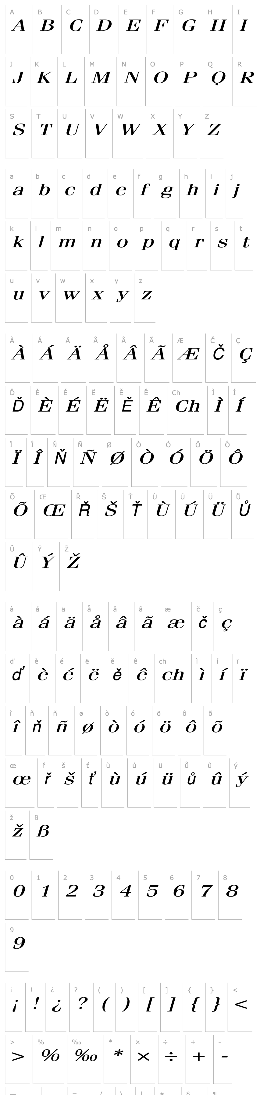 Přehled FeliciaExtended Italic