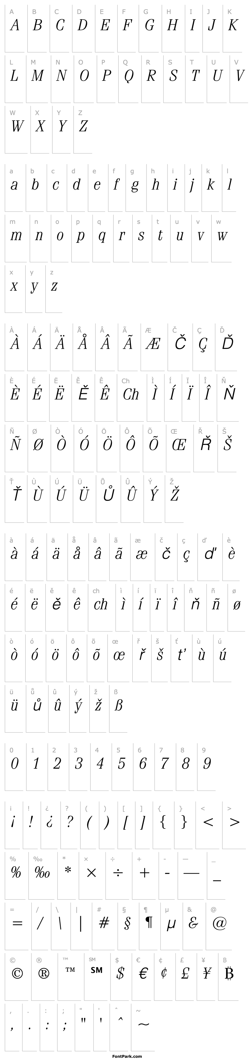 Overview FeniceITCbyBT-LightItalic