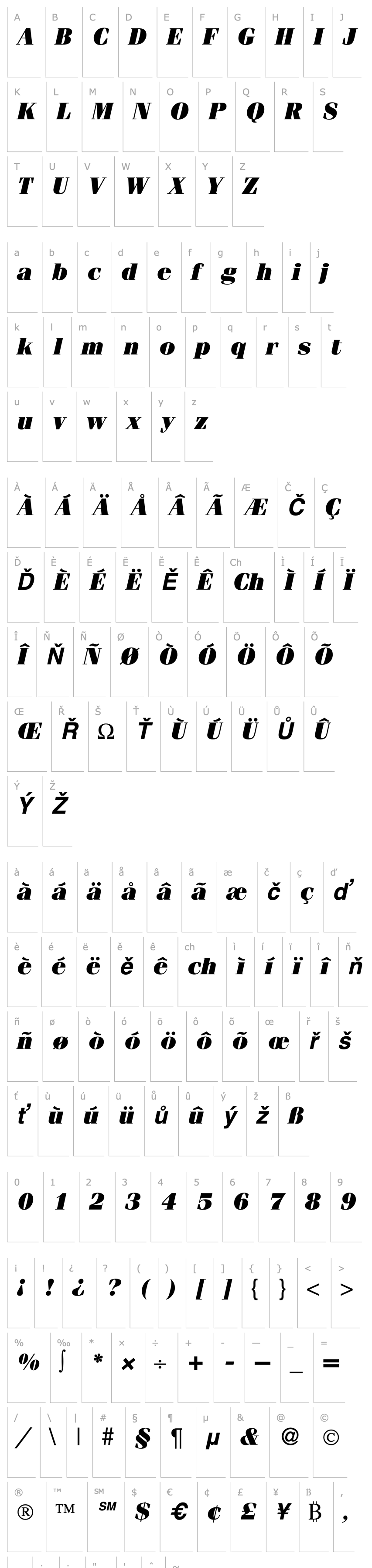 Overview FerventUltra-RegularItalic