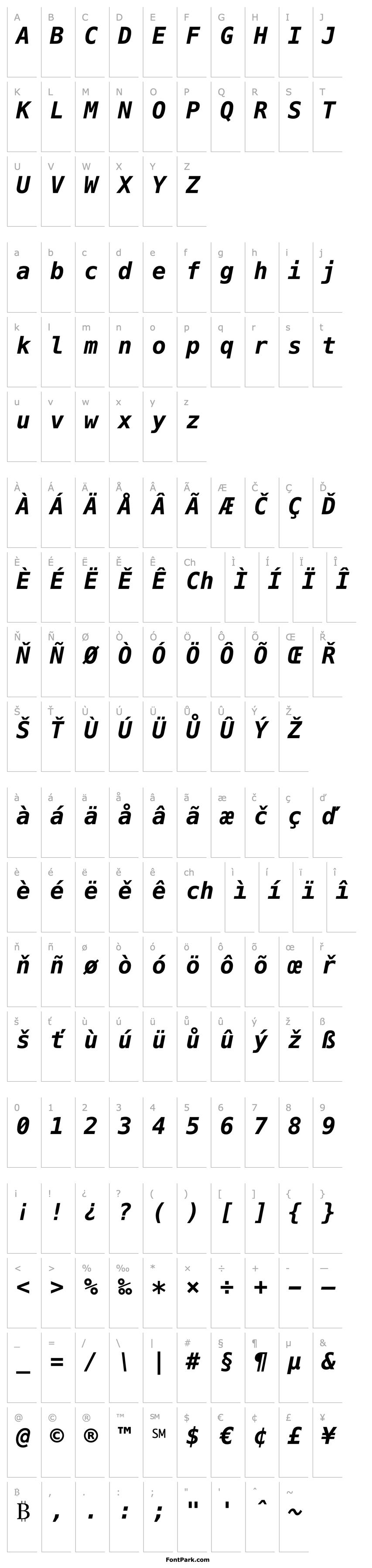 Overview FigurineCrrCB Bold Italic