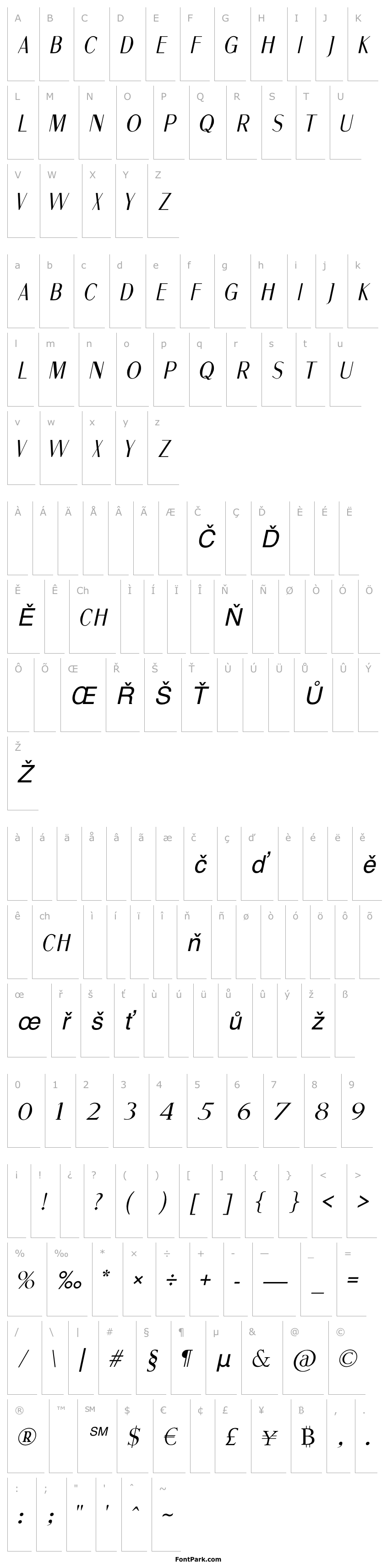 Overview Fine Sans Italic