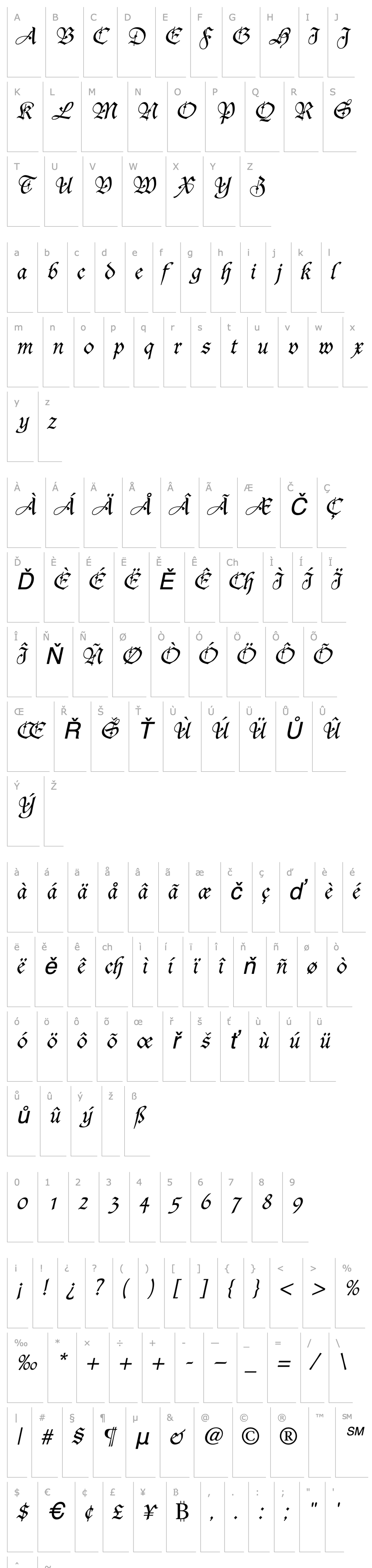 Overview Fiorne Italic