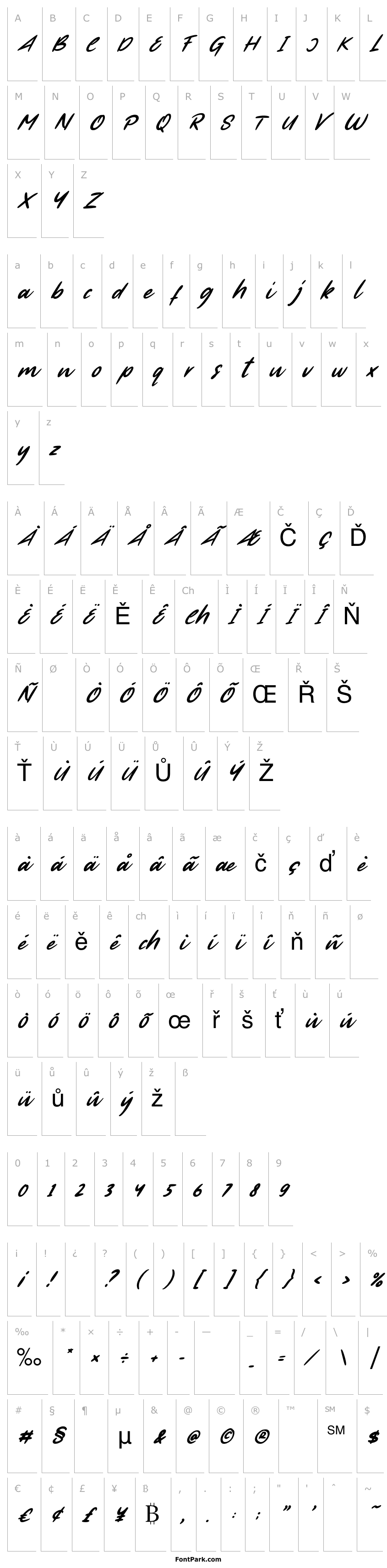 Přehled First Time Italic