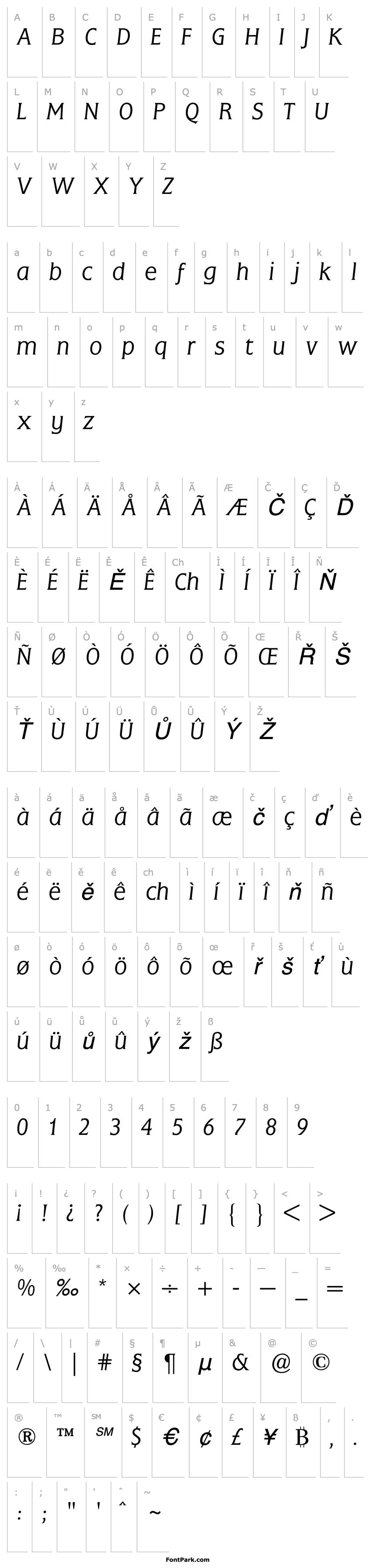 Overview Flange (R) Light Italic