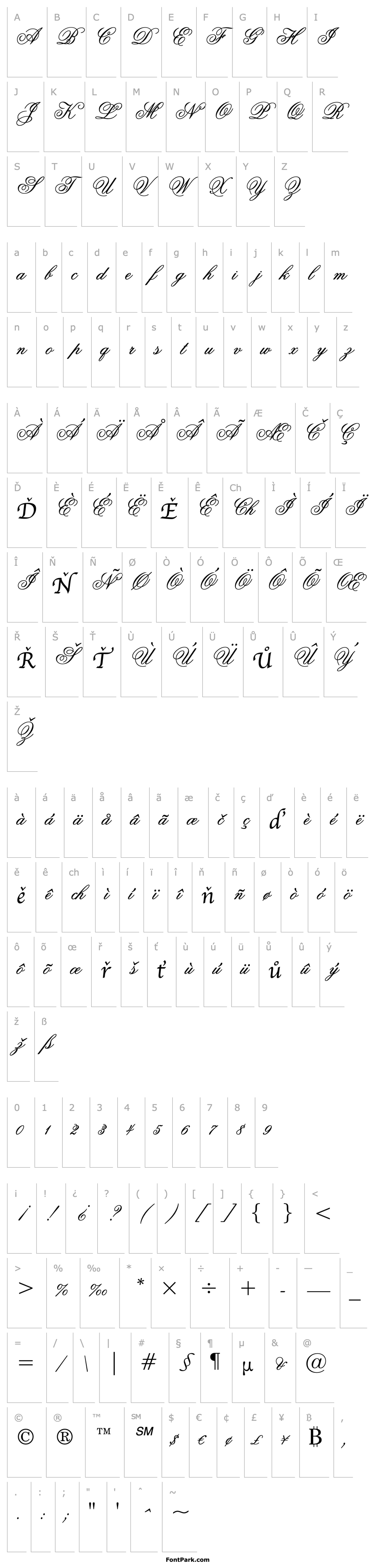 Overview FlemishScript BT