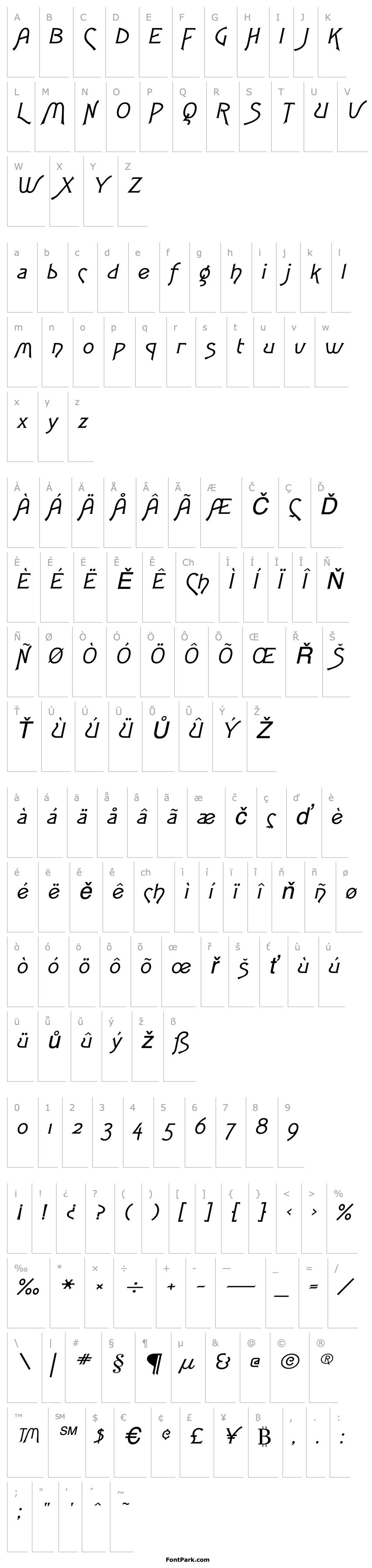 Overview Fletch Wide Italic