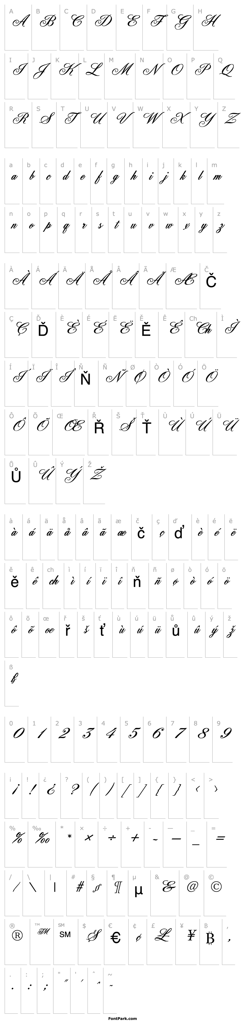 Overview FleurishScript