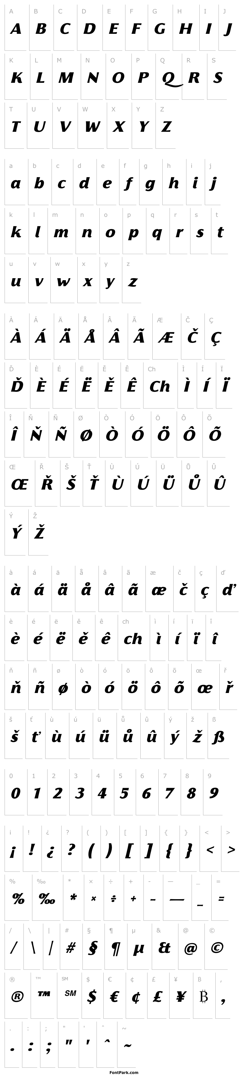 Přehled Florentia Black Italic