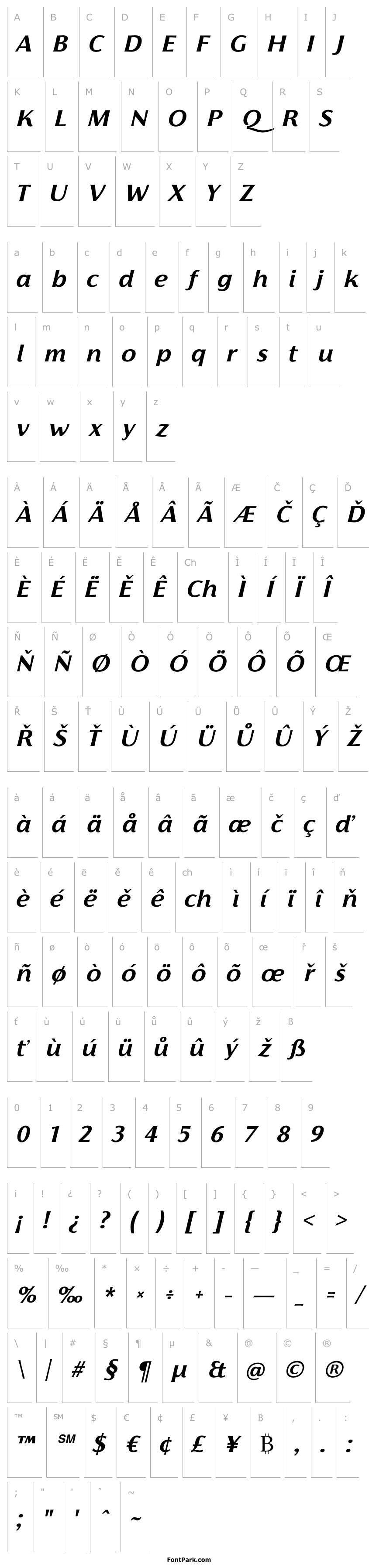 Přehled Florentia Bold Italic