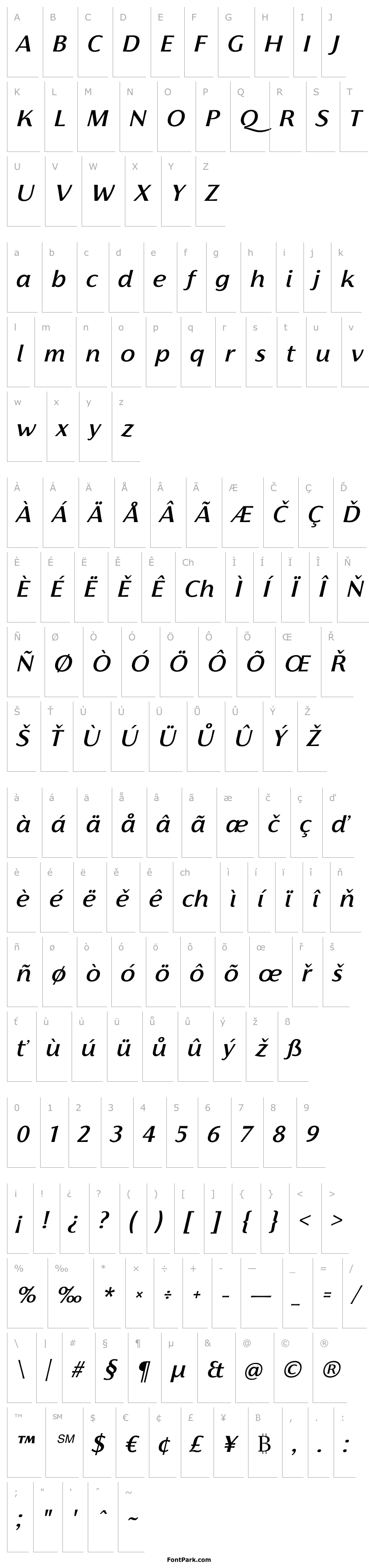 Přehled Florentia Medium Italic