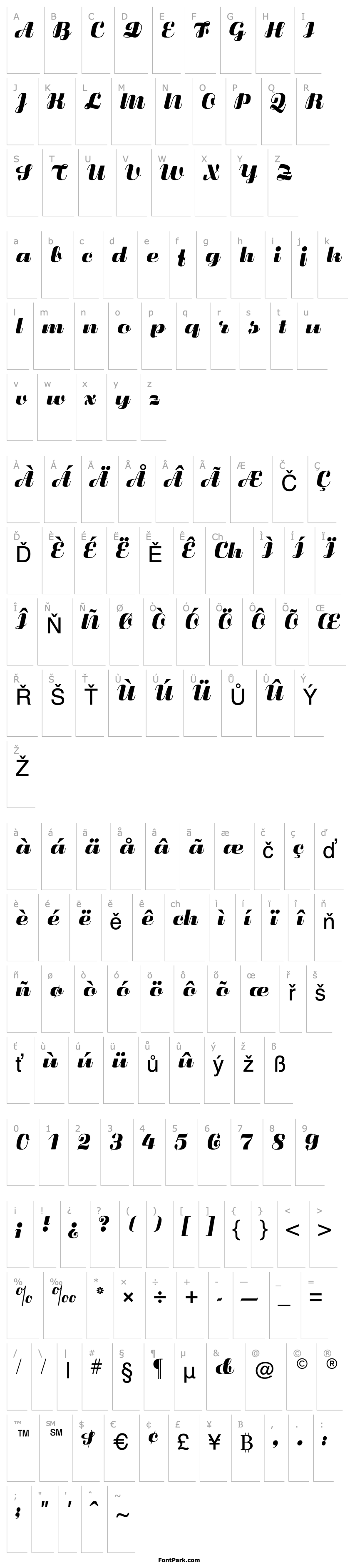 Overview Fluidum CG Bold