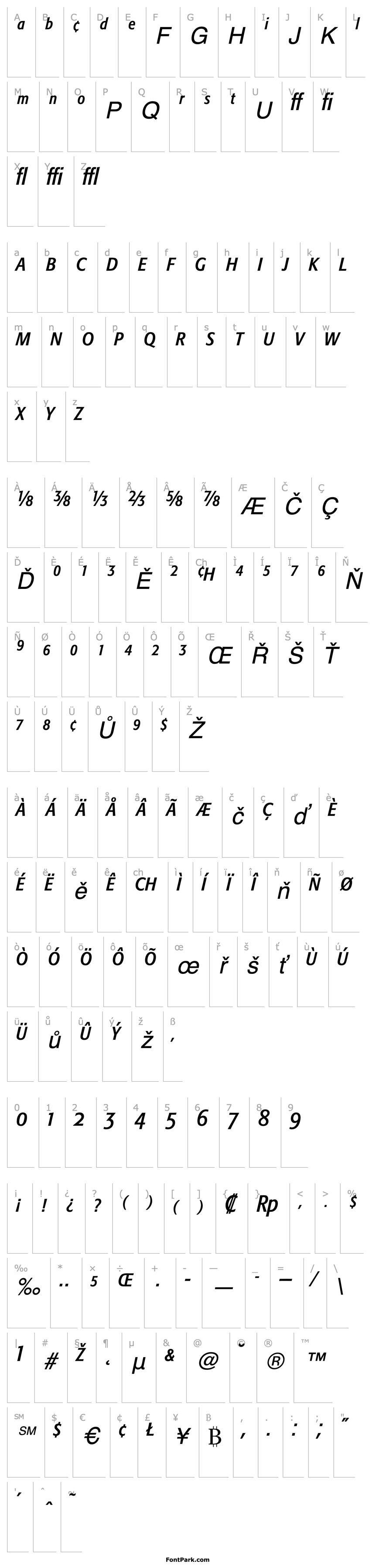 Přehled FormataExpert-Condensed Italic