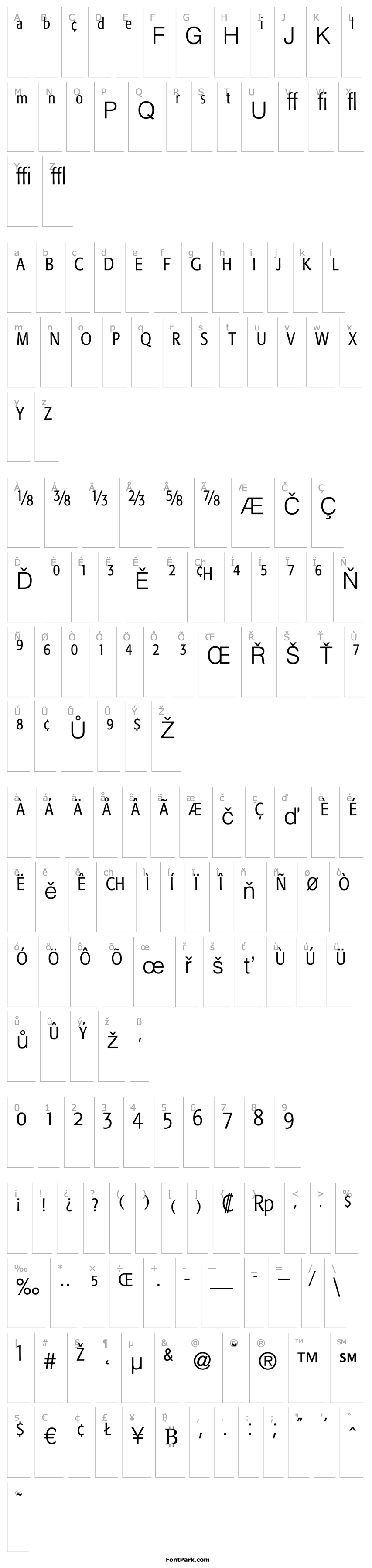 Overview FormataExpert-CondensedLight