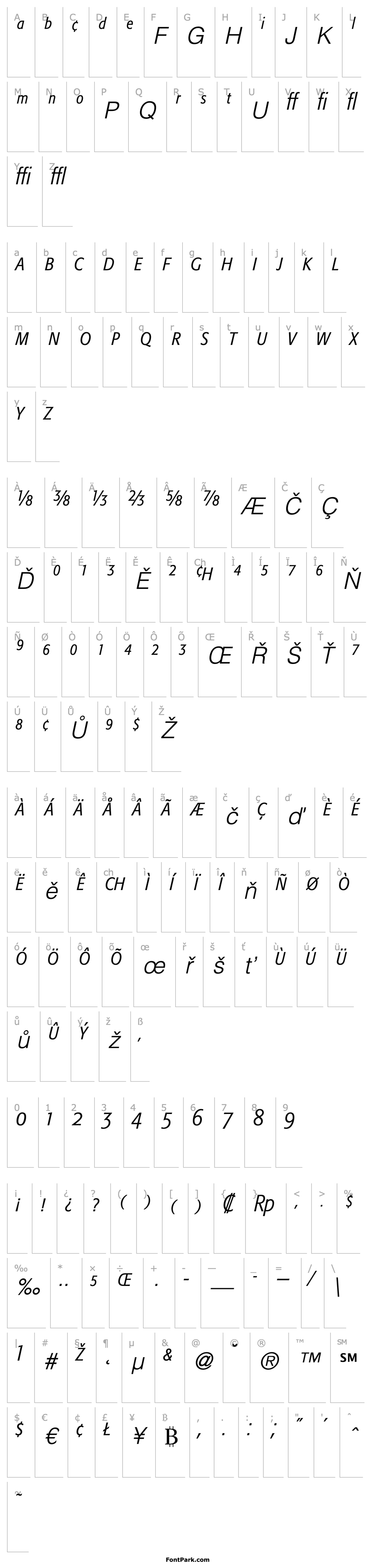 Overview FormataExpert-CondensedLight Italic