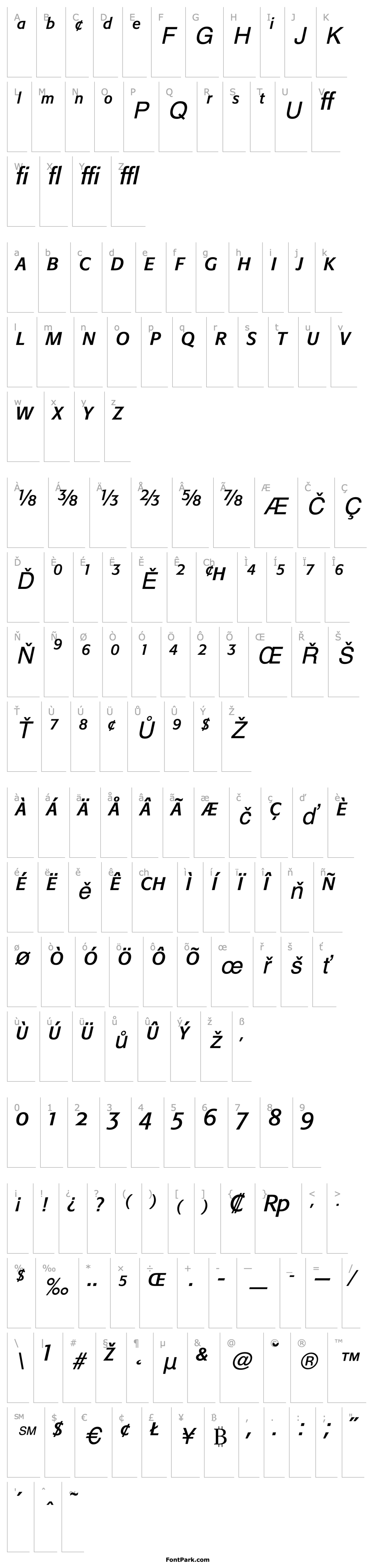 Overview FormataExpert-Italic