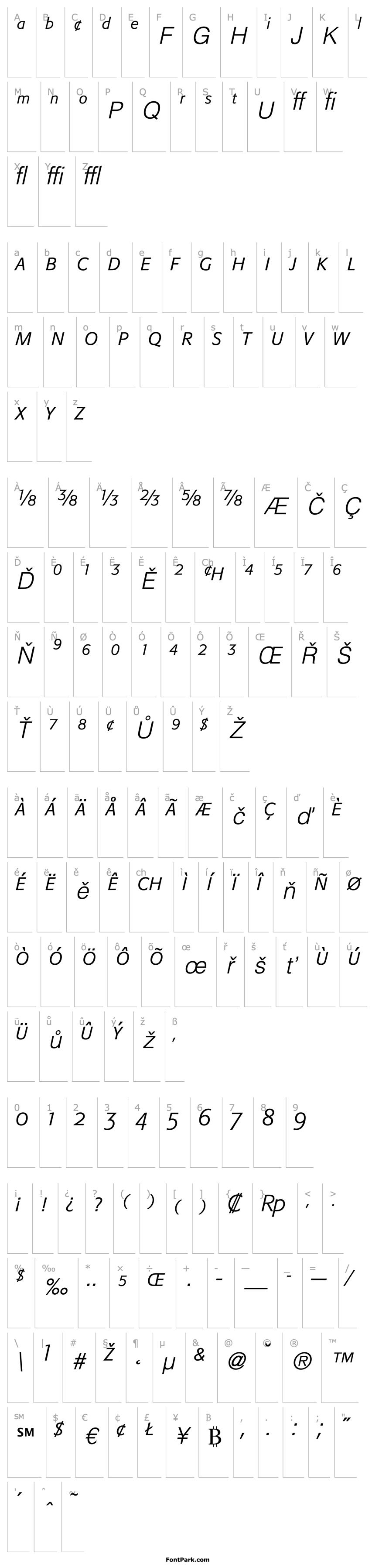 Přehled FormataExpert-Light Italic