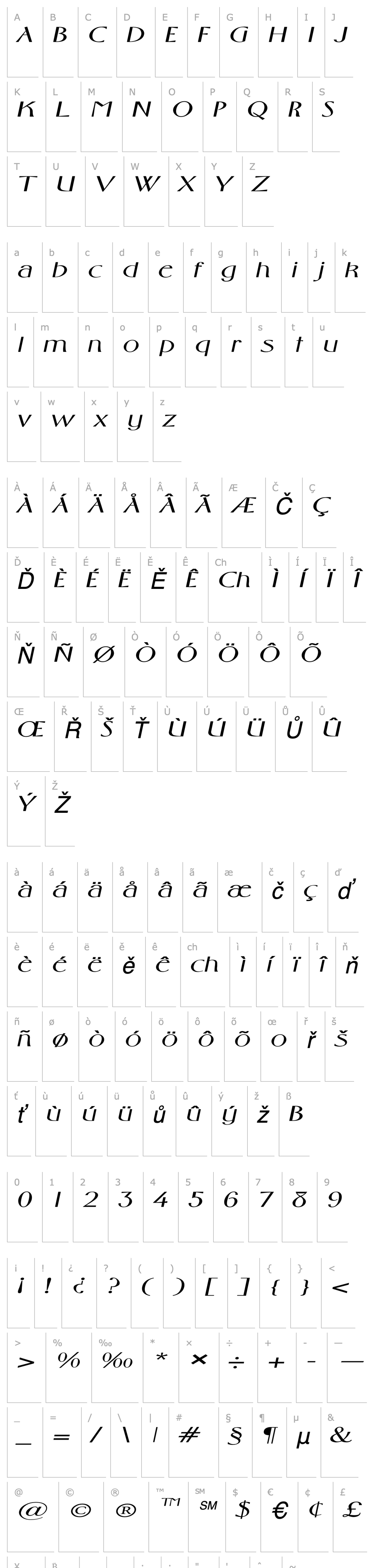 Overview FosterExpanded Italic