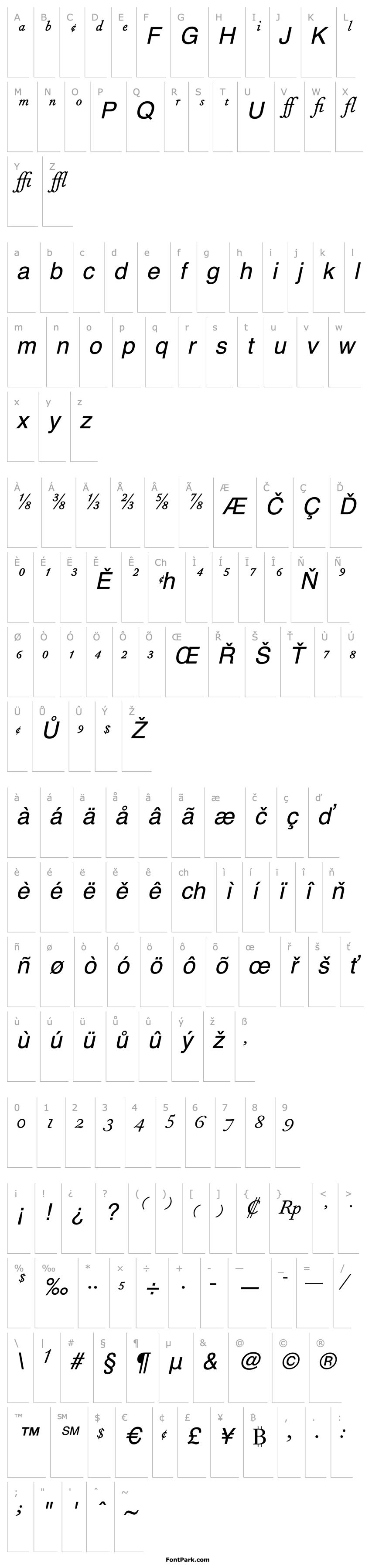 Overview FournierMTExpert-Italic